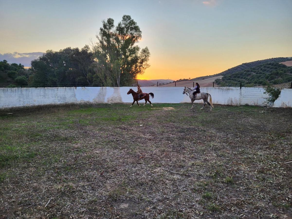Hacienda Las Lumbreras Montellano Exteriér fotografie